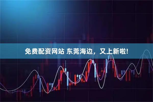 免费配资网站 东莞海边，又上新啦!